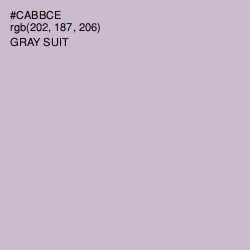 #CABBCE - Gray Suit Color Image